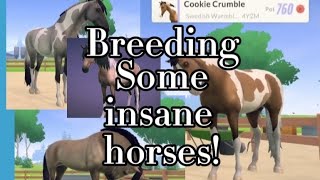 Breeding Some Insane Horses Equestrian The Game