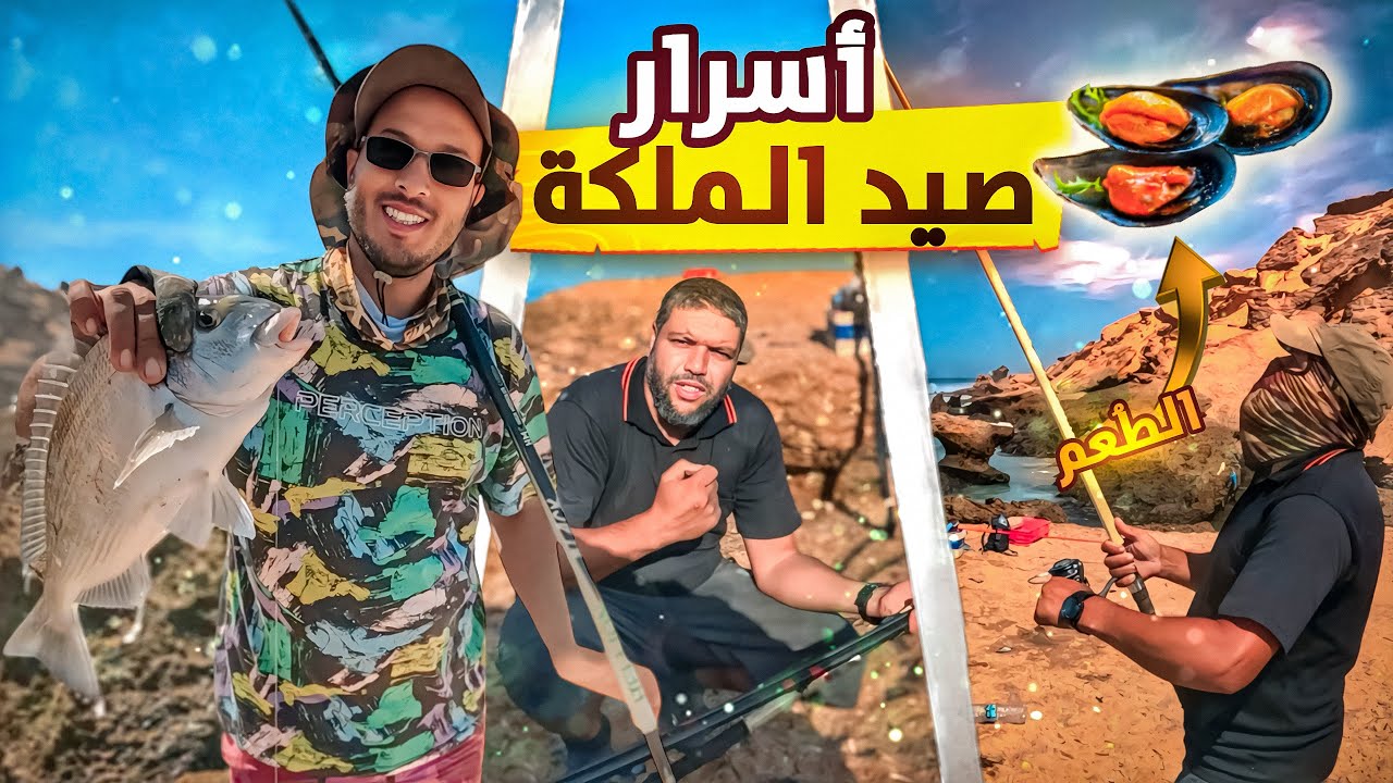 صيد الملكة بإحتراف🎣🐟 الطريقة و أسرار الخبراء لتحقيق النجاح💯💯
