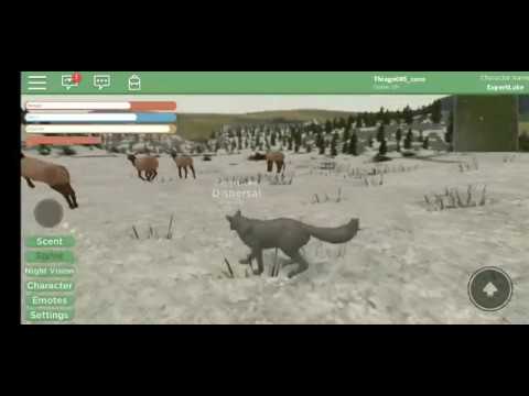 Yellowstone Wolfquest No Roblox Youtube - roblox yellowstone