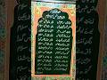 peer e peeran shah e jeelan....✨ dastageer sahab #sufi #kashmiri #astan #shrine #kashmirisufi