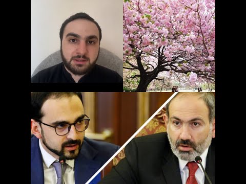 Մահվան ծառ․ ՔՊ-ականները որոշել են իրենց «թաղել» սակուրաների տա՞կ․ Անդրանիկ Հովհաննիսյան