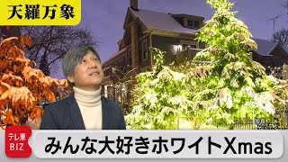 みんな大好きホワイトＸｍａｓ まさかな所でも雪が！【久保田解説委員の天羅万象】(108)（2022年12月23日）