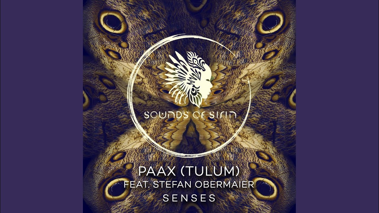 Watch Senses on YouTube Watch Senses on YouTube