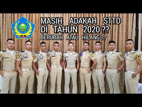 NASIB STTD SAAT INI BAGAI MANA ?? CPNS / SEKOLAH KEDINASAN / IKATAN DINAS -  YouTube