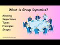 What is group dynamics  meaning types importance stages