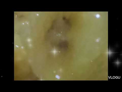 Kain tayo guys minatamis na Saging Saba #yummy #sagingnasaba #shortsvideo