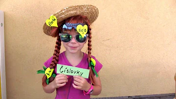 Co se říkají slovní druhy?