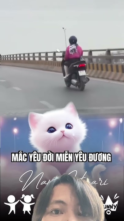 m.youtube.com