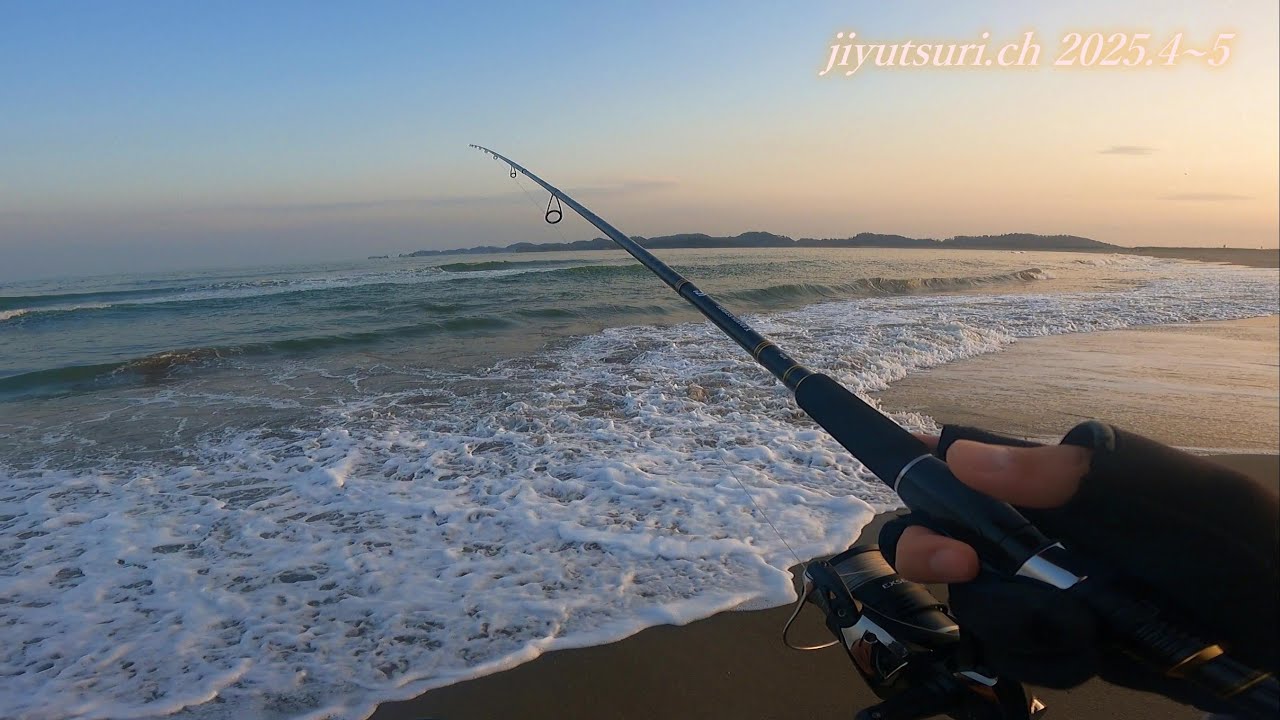 【宮城、仙台のサーフを釣り歩く】フラットフィッシュの時期がやって来る！