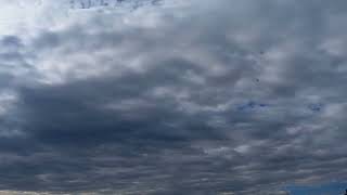 Let's relax watching the racing clouds TIMELAPSE