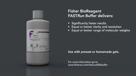 Fisher BioReagents FASTRun SDS PAGE Running Buffer