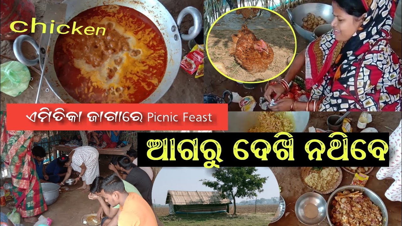 ଏମିତିକା ଜାଗାରେ Picnic Feast ଆଗରୁ ଦେଖି ନଥିବେ Odia Chicken Tarakari