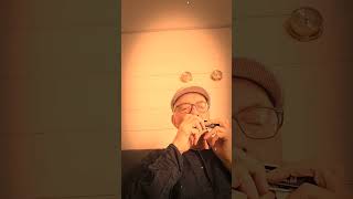 Les Champs-Élysées à l'harmonica 🎶 Joe Dassin (Cover)