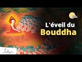 Comment Gautama est-il devenu Bouddha ?  | Sadhguru Français