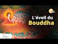 Comment gautama estil devenu bouddha    sadhguru franais