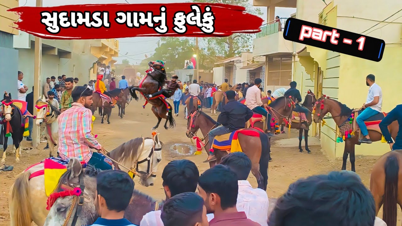 સુદામડા ગામનું ફુલેકું|HORSE LOVERS|FULEKU|TORAN|KATHIYAWADI HORSE FULEKU|HORSE LIFE|HORSE VLOG|