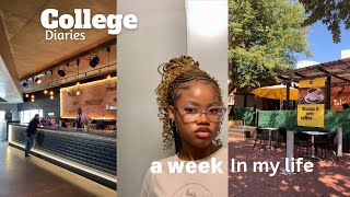 COLLEGE DIARIES ep.6| Studying , new study table , uni applications, grocery restock, events  more.🤍