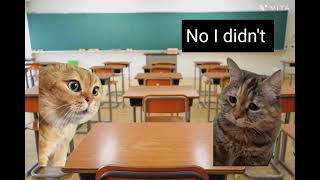 Talking cat meme #cat