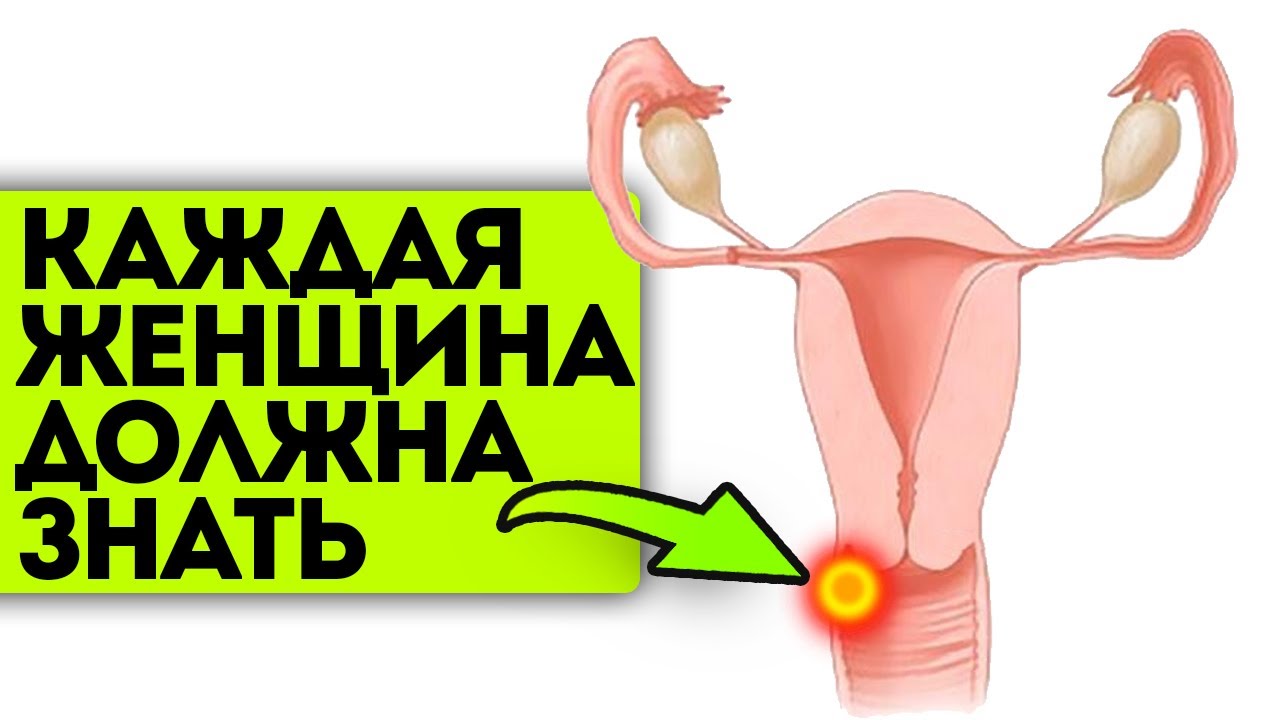 Через Сколько Можно Заниматься Сексом После Молочницы Через Сколько Можно Заниматься Сексом После Молочницы