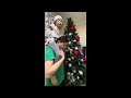 our 2023 Christmas tree is up  #christmas  #2023  #family #trending
