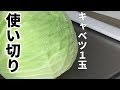 キャベツ使い切りレシピ！簡単サラダと【気になる新常識】