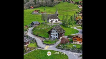 راحة نفسية🎧🤍//آيات قصيرة//حالات واتس اب//صدقة جارية//ستوريات//تلاوة مولانا كورتش//آيات من سورة الشرح