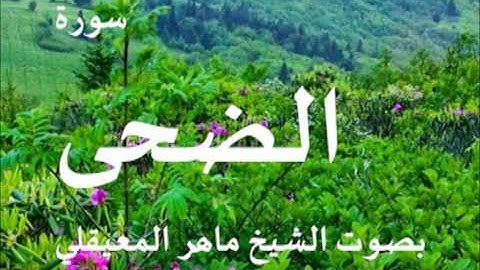 سورة الضحى بصوت الشيخ / ماهر المعيقلي 93