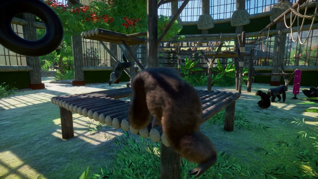 Old Male Orangutan | Planet Zoo Animals