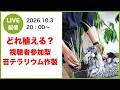どれ植える?|視聴者参加型苔テラリウムLIVE作製 あなたの指示でテラリウムを作ります