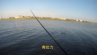 宜蘭竹安河口釣況分享20190917 [嘟嘟釣魚狂#44]