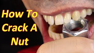 How To Make A Nut Splitter (Easiest Way)