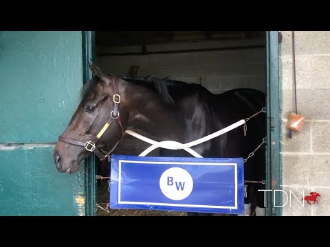 Maxfield Moving Forward on the Derby Trail