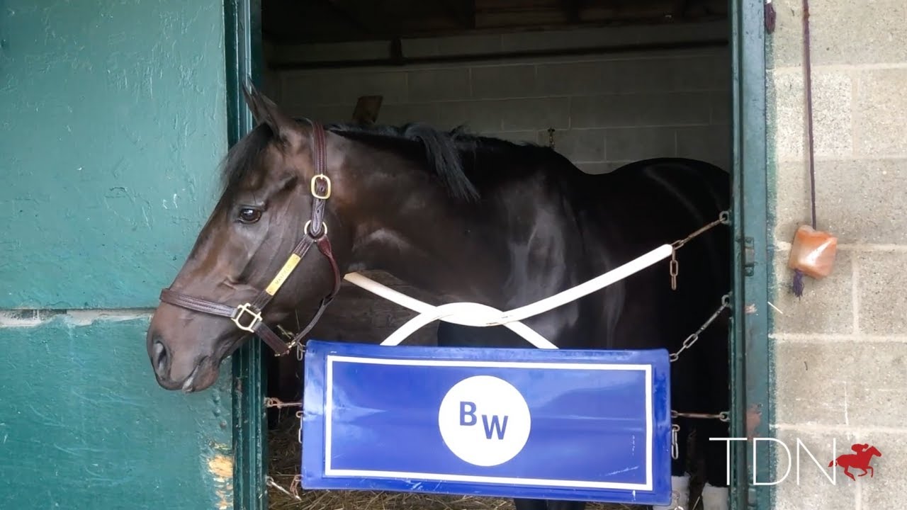 Maxfield Moving Forward on the Derby Trail