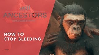 Ancestors Guide How To Stop Bleeding