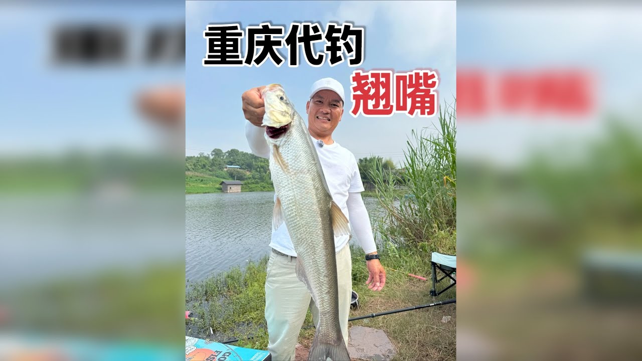 为了让小钓友吃上翘嘴，这次代钓拿出百分之百的实力