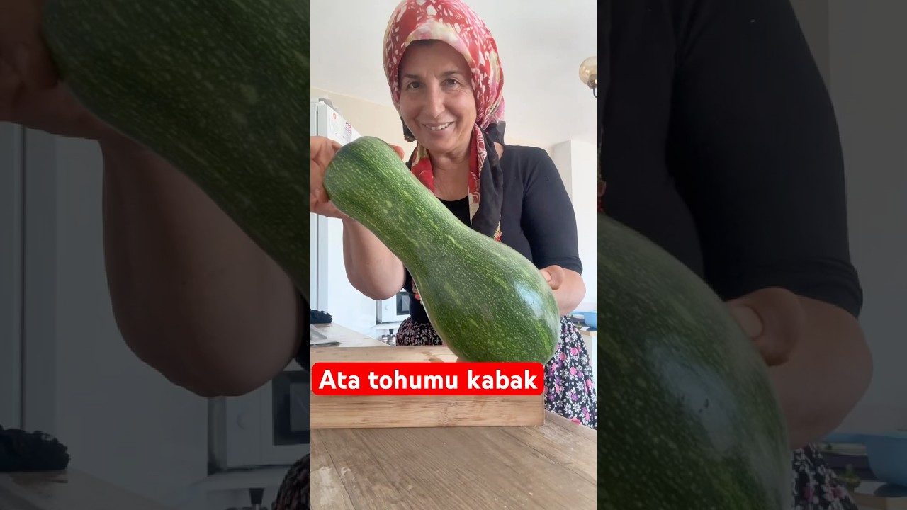 ATA  tohumu yeşil yayla kabağından ferki yaptık #yemektarifleri #shorts #shortvideo #love #nature