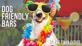 Dog Friendly Bars in the Twin Cities