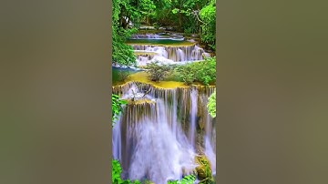 💞Feel The Music ❤️🎶 || Nature Video Status🥀 || INature Whatsapp Status✨       #shorts#status#nature