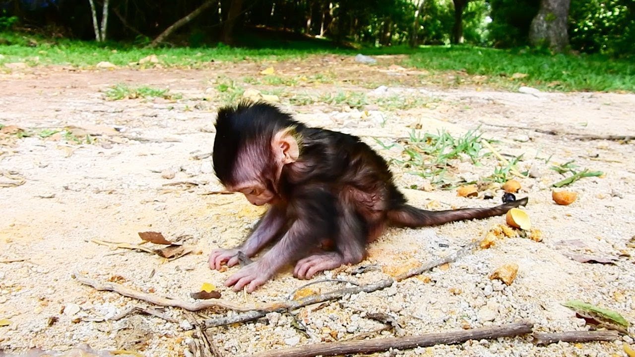 MOM SURPRISE LIZZA, Mom Left Lizza While Eating Alone/Scare Lonely Baby Lizza