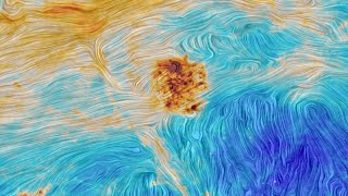 Local Interstellar Cloud Microscopic Messengers from Deep Space