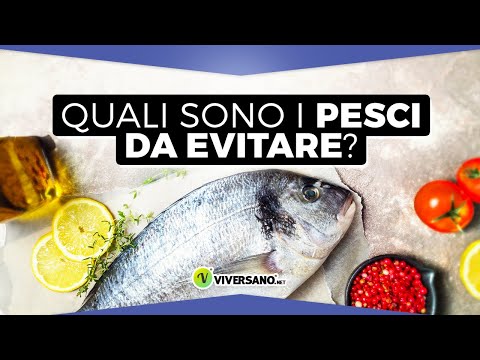Video: Il pesce ago è buono da mangiare?