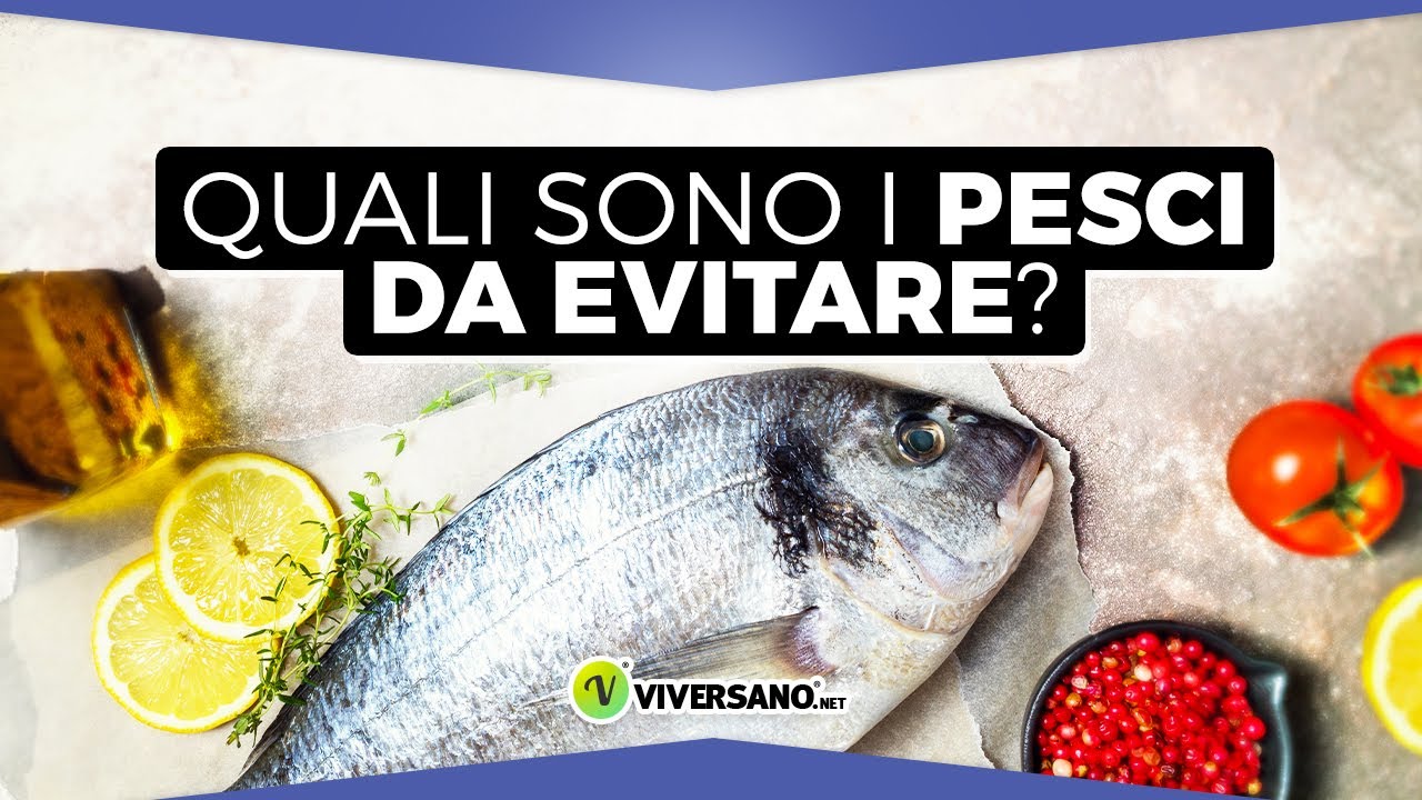 Qual Il PESCE Pi SANO Da Mangiare Chiesto Alla Nutrizionista qual-il-pesce-pi-sano-da-mangiare-chiesto-alla-nutrizionista