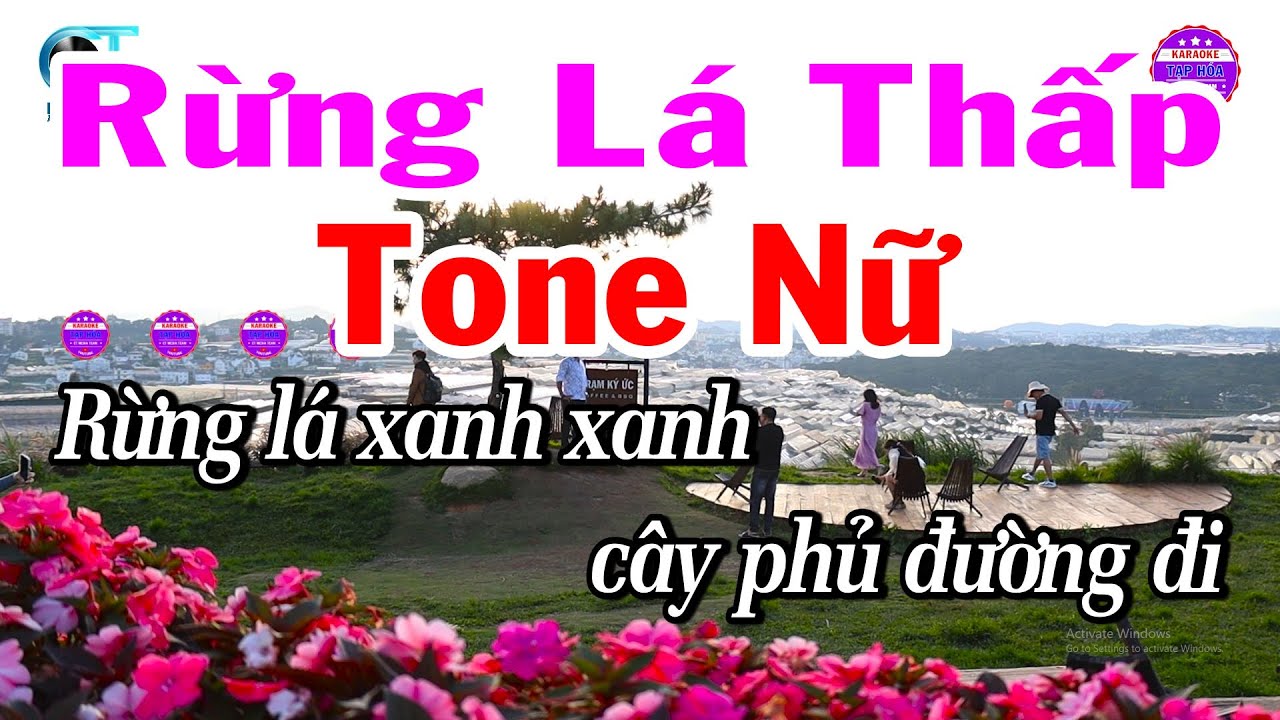 Karaoke Rừng Lá Thấp Tone Nữ Nhạc Beat Hay Dễ Hát