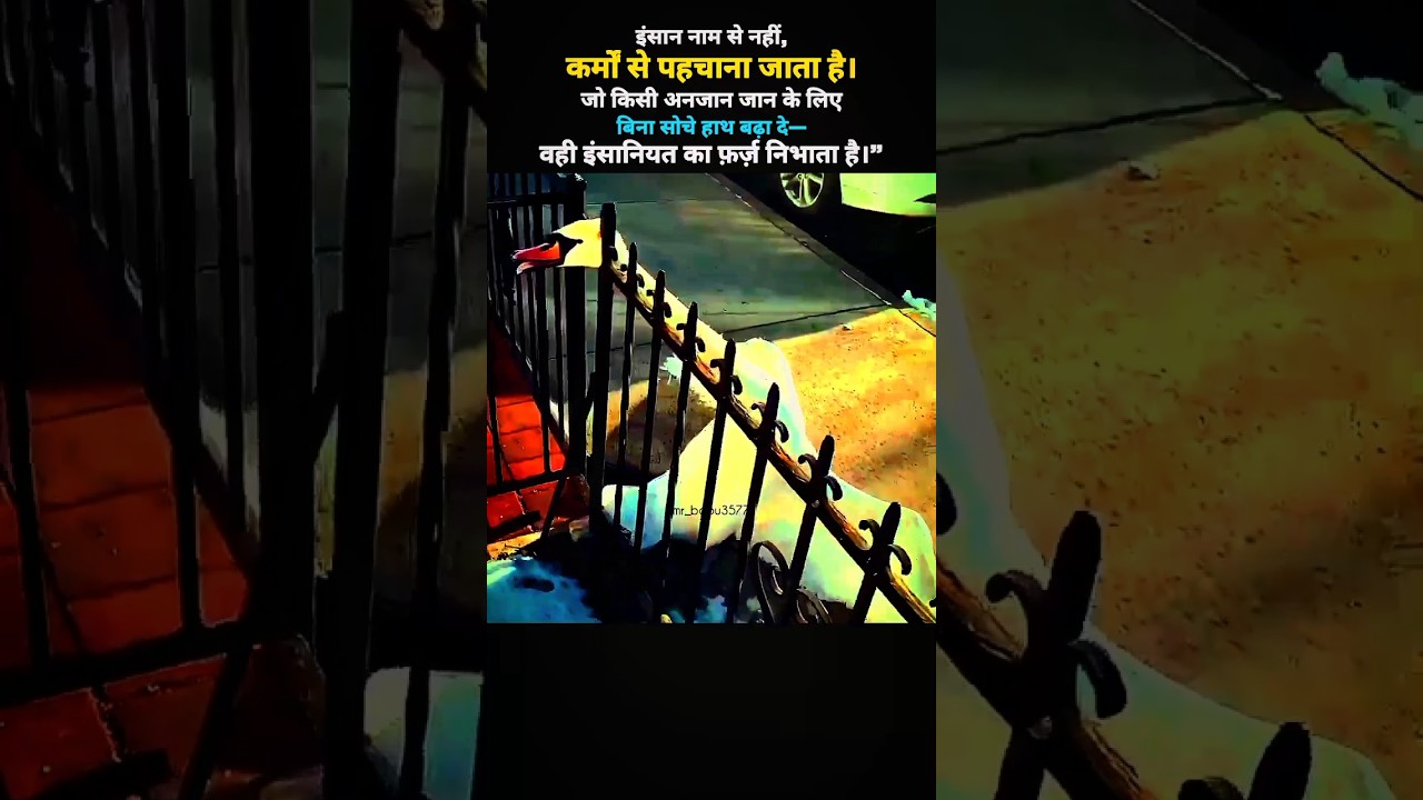 "सारस की गर्दन फंस गई🥺|emotional quotes hindi | 