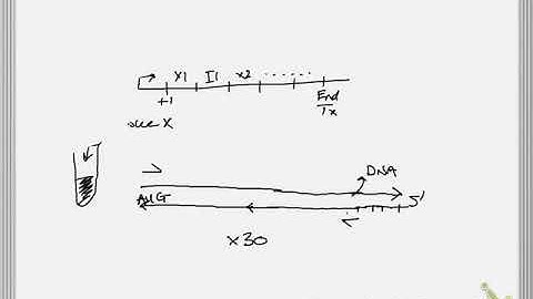 Genetics RT-PCR, qRT-PCR, NG sequencing Part 1