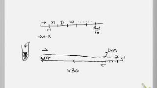 Genetics RT-PCR, qRT-PCR, NG sequencing Part 1