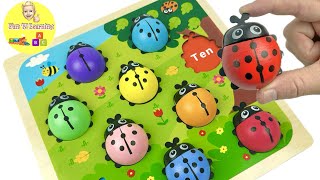 Best Educational Video for Kids | Ladybug Puzzle, Learn Numbers, ABC, Vehicle Learning Compilation screenshot 1
