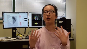 Inside the Kenney Lab at Wayne State University