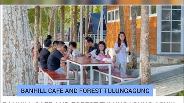 BANHILL CAFE AND FOREST TULUNGAGUNG ASYIK TEMPATNYA