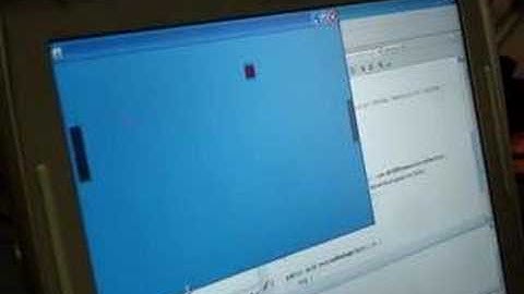 JustJava 2007 - BluePong gigante